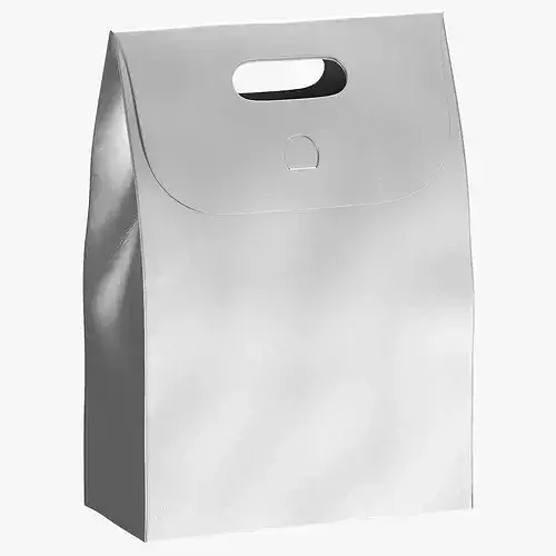 Recycled Paper Bags 02 01 Silver 3D model