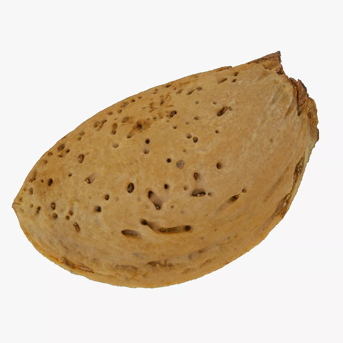 Almond With Shell 05 RAW SCAN 3D model