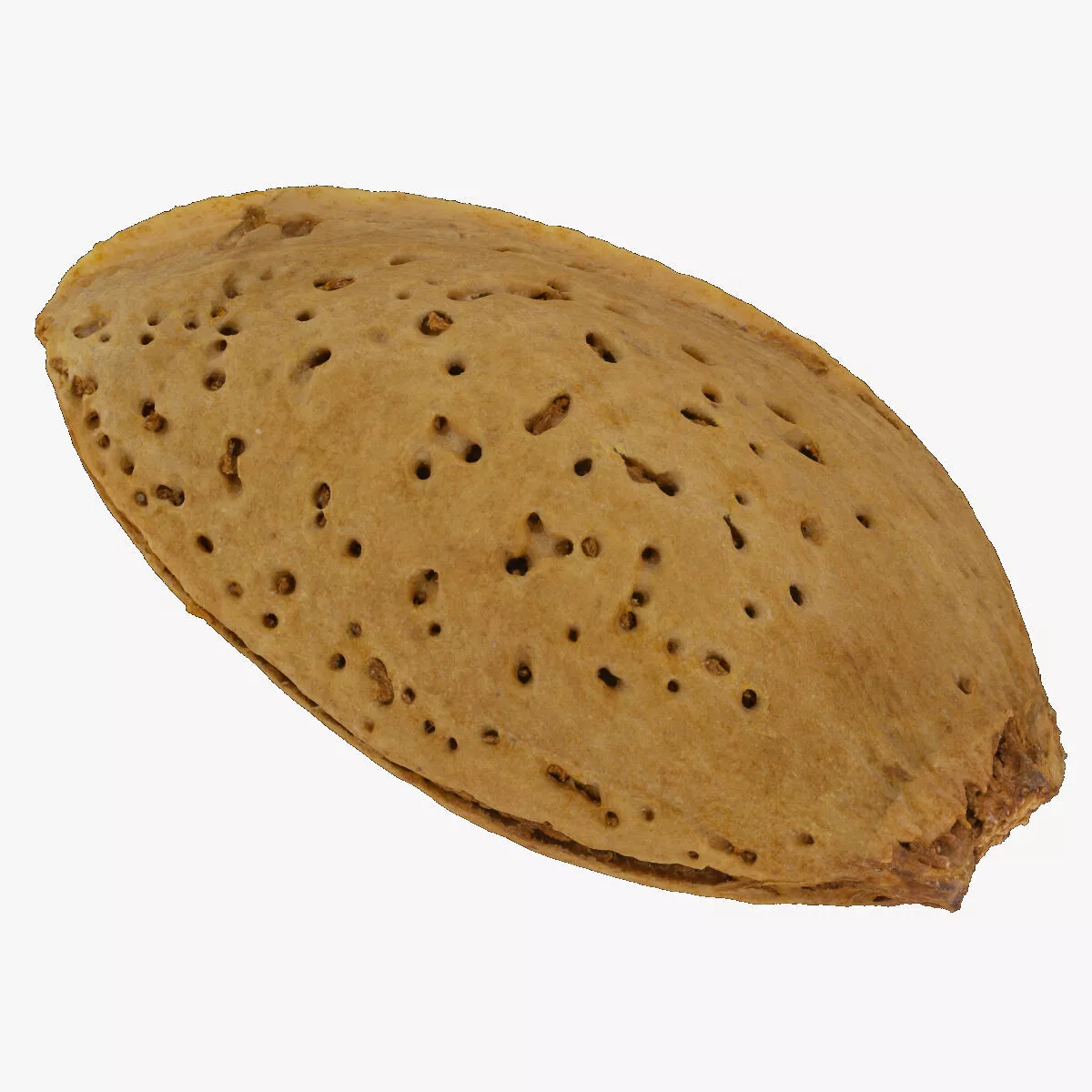 Almond With Shell 04 RAW SCAN 3D model