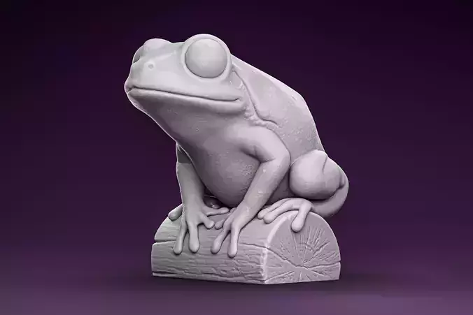 Tree Frog on Log