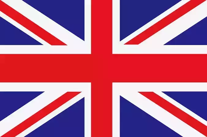 FLAG with WIND motion