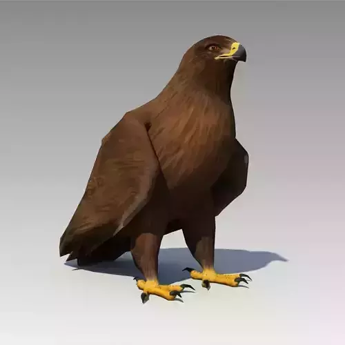 Golden Eagle Animated Low-poly 3D model