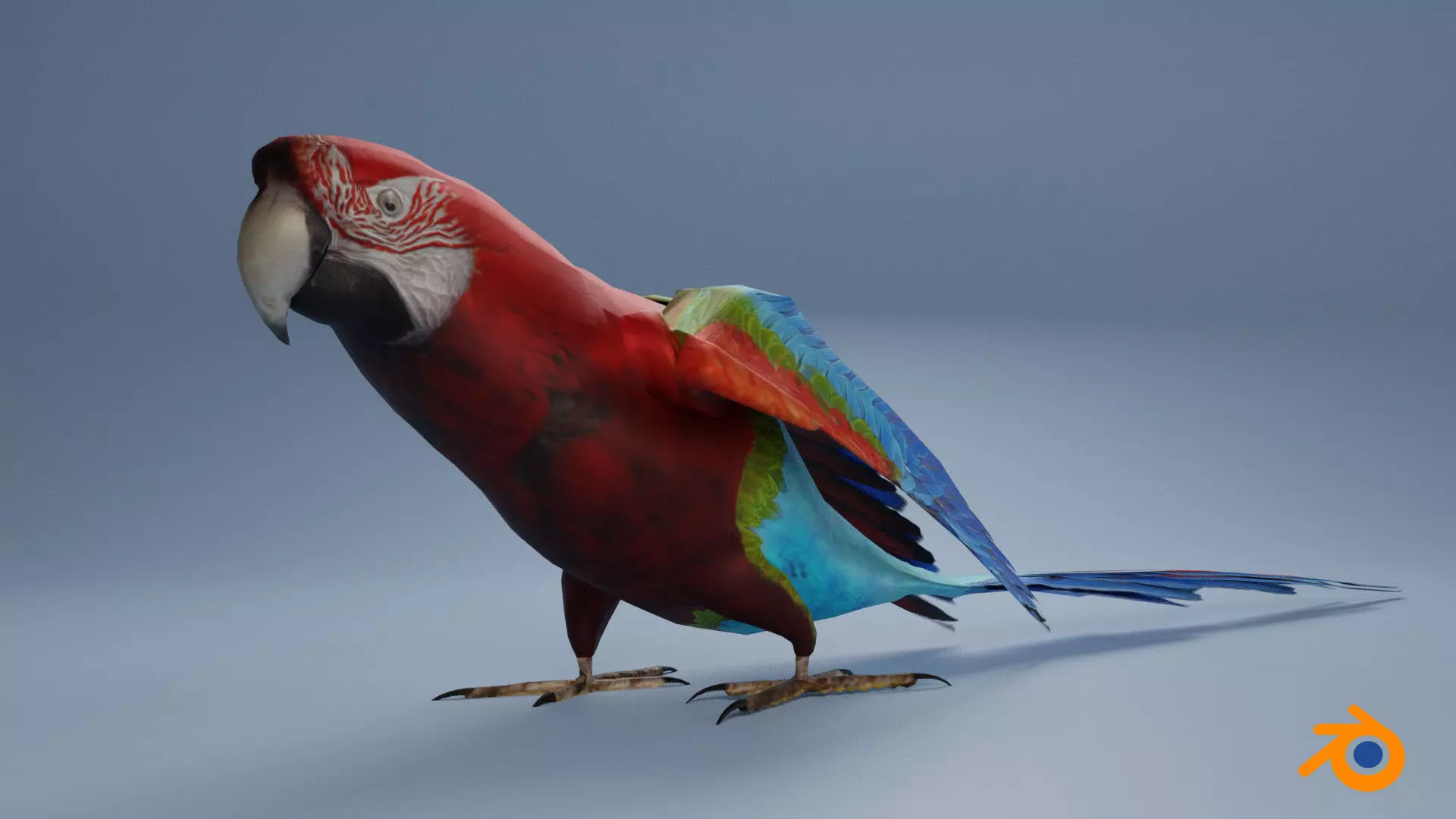 Parrot Animated Low-poly 3D model_0