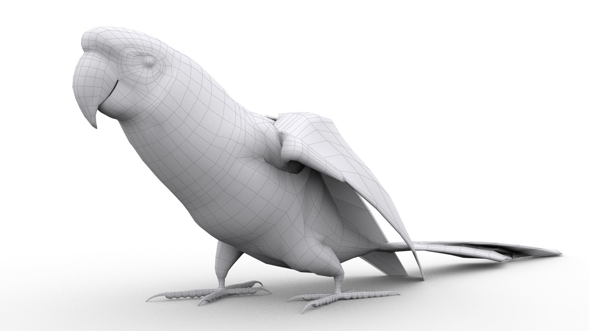 Parrot Animated Low-poly 3D model_6