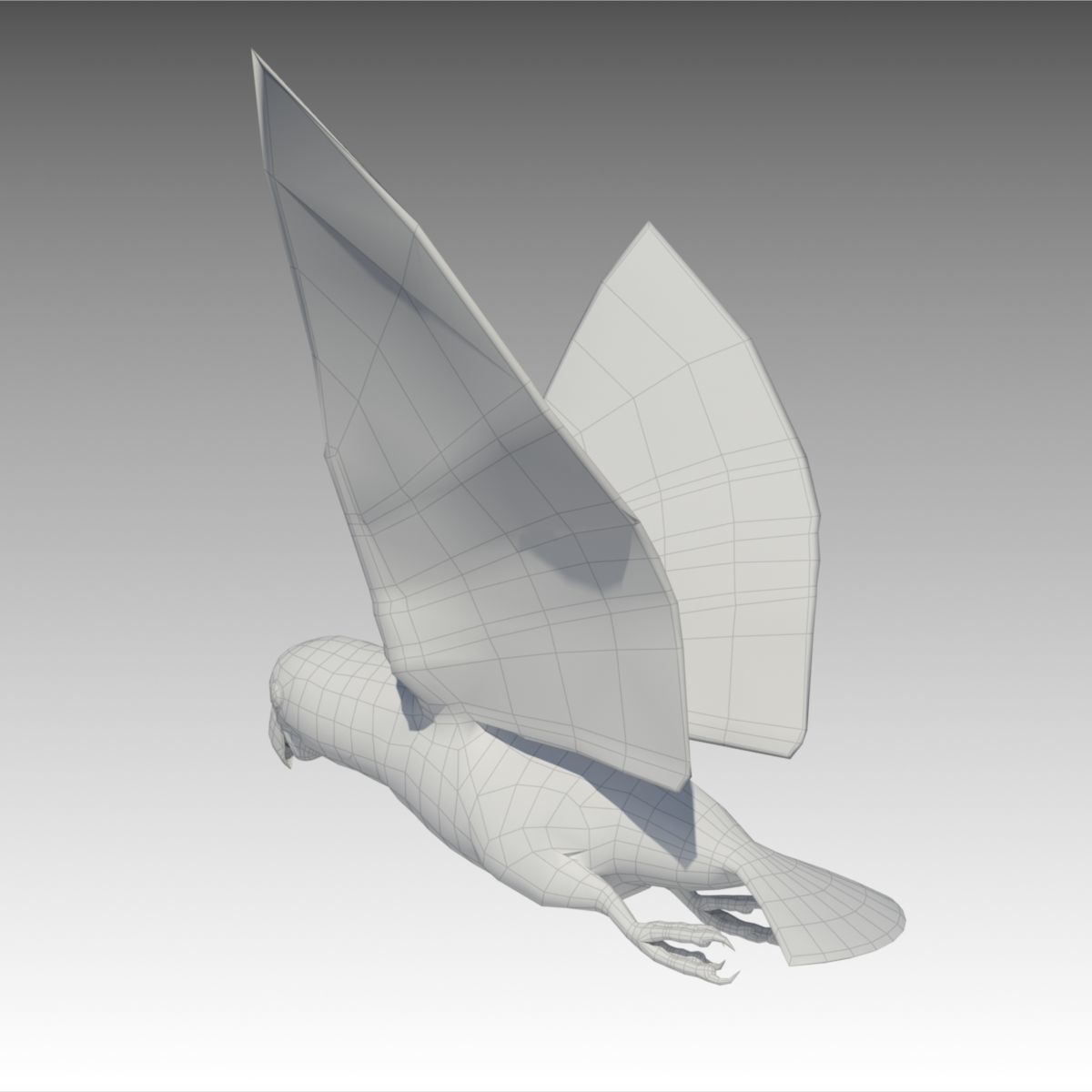 Lovebird Animated Low-poly 3D model_7