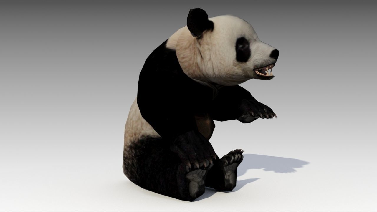 Giant Panda Animated Low-poly 3D model_2