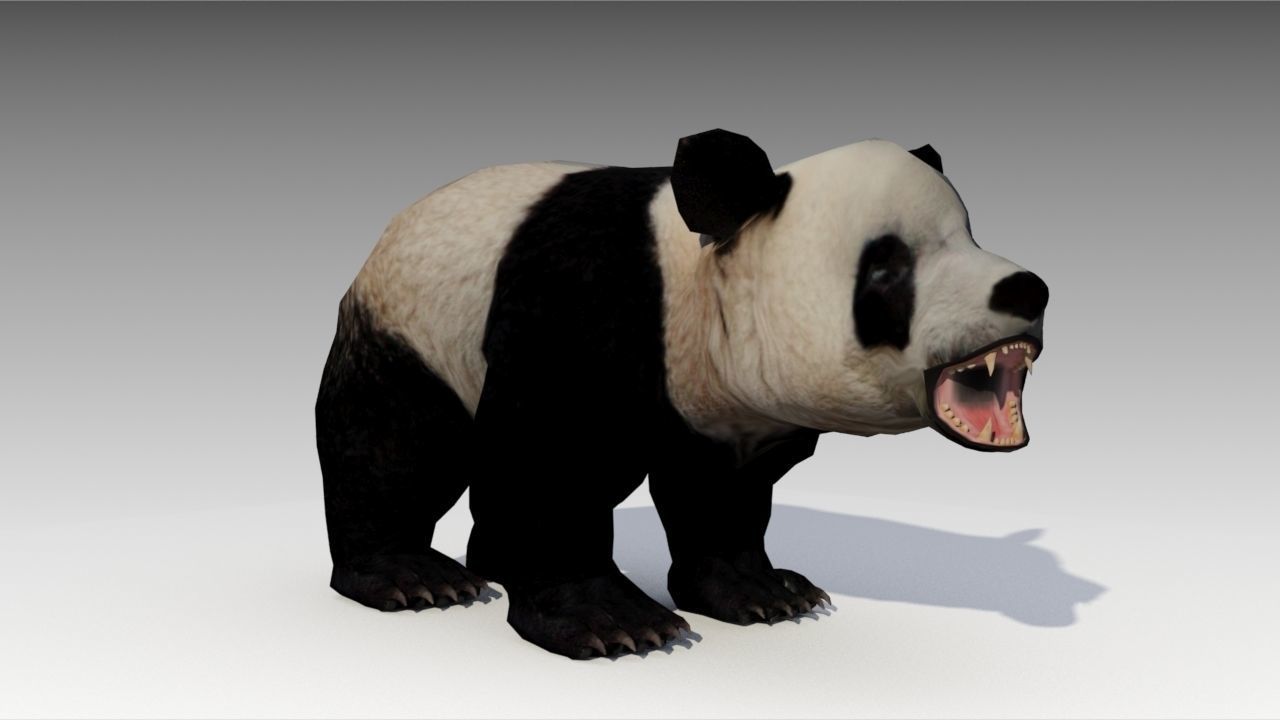 Giant Panda Animated Low-poly 3D model_3