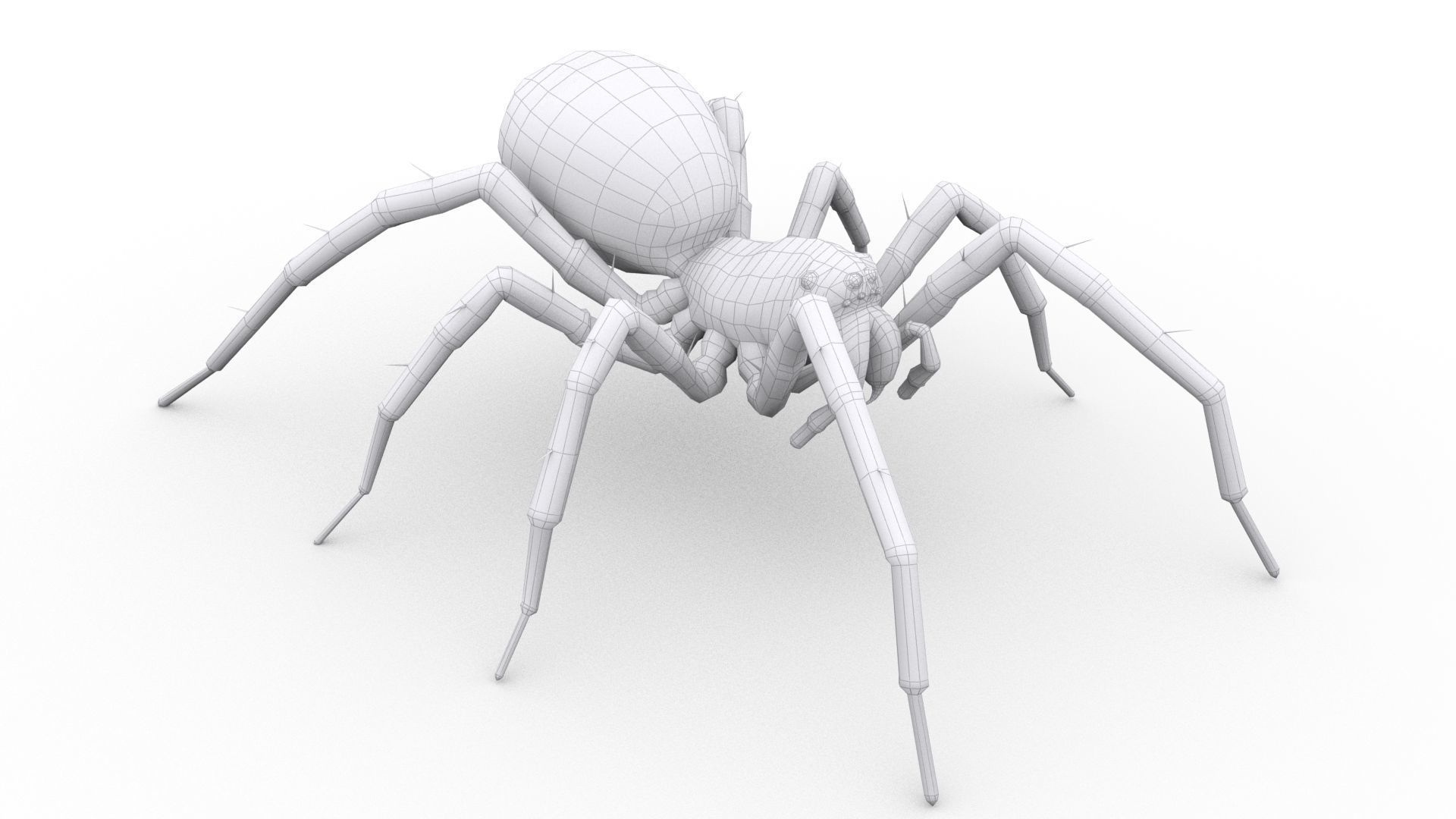 Wolf Spider Animated Low-poly 3D model_4