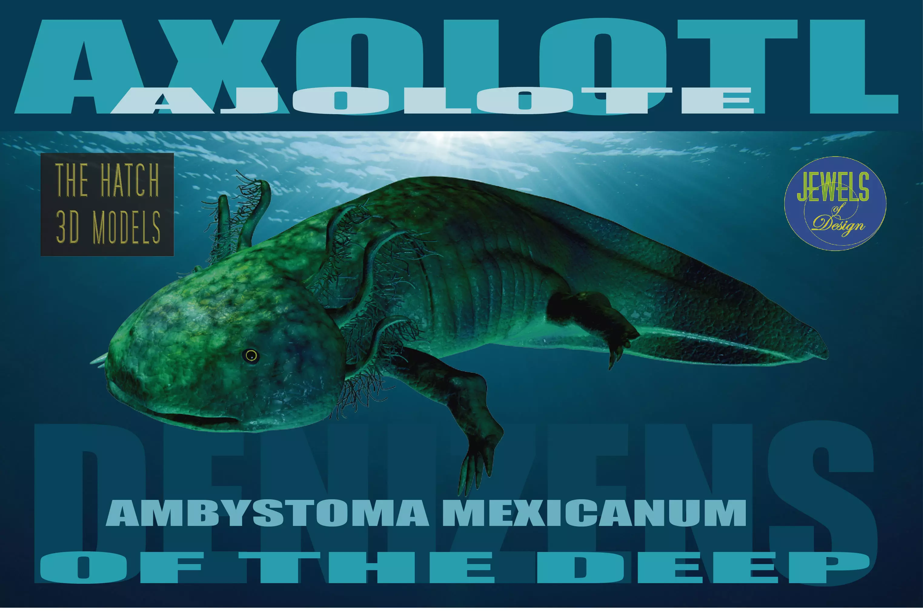 Axolotl 3D model fish Low-poly 3D model_0