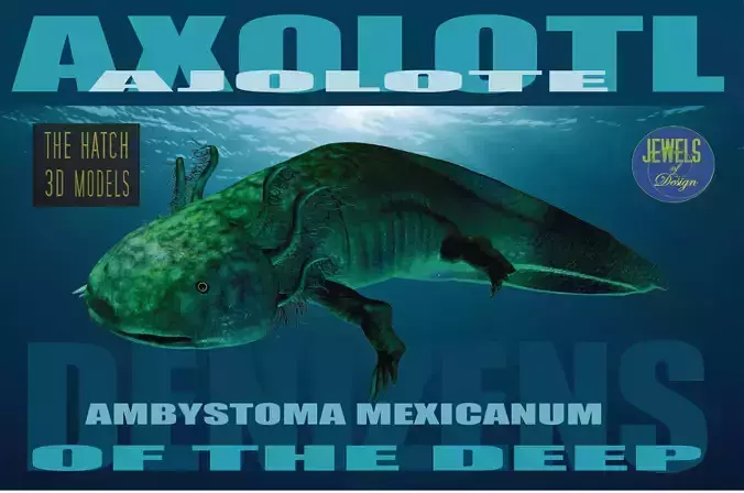 Axolotl 3D model fish