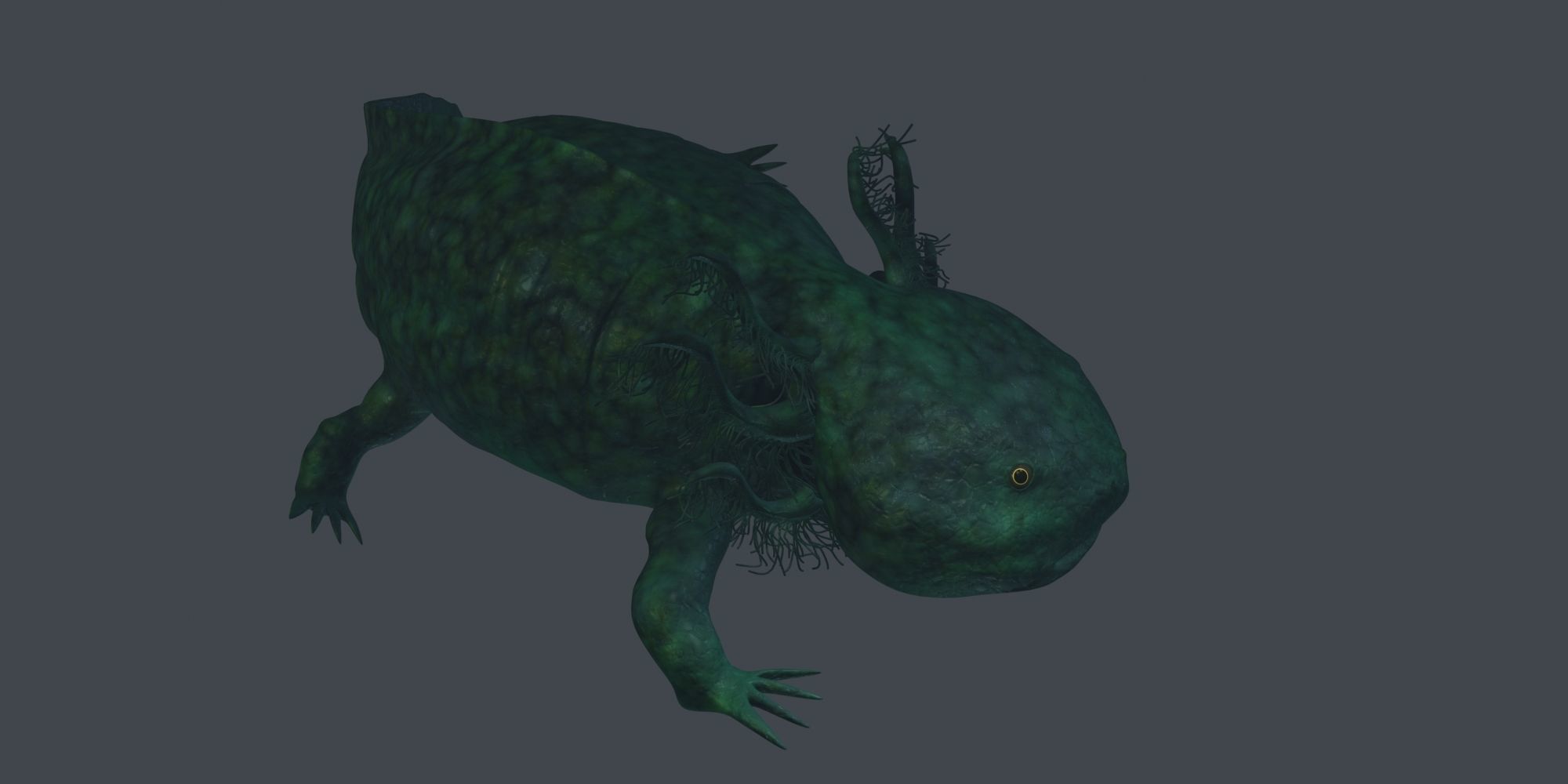 Axolotl 3D model fish Low-poly 3D model_1