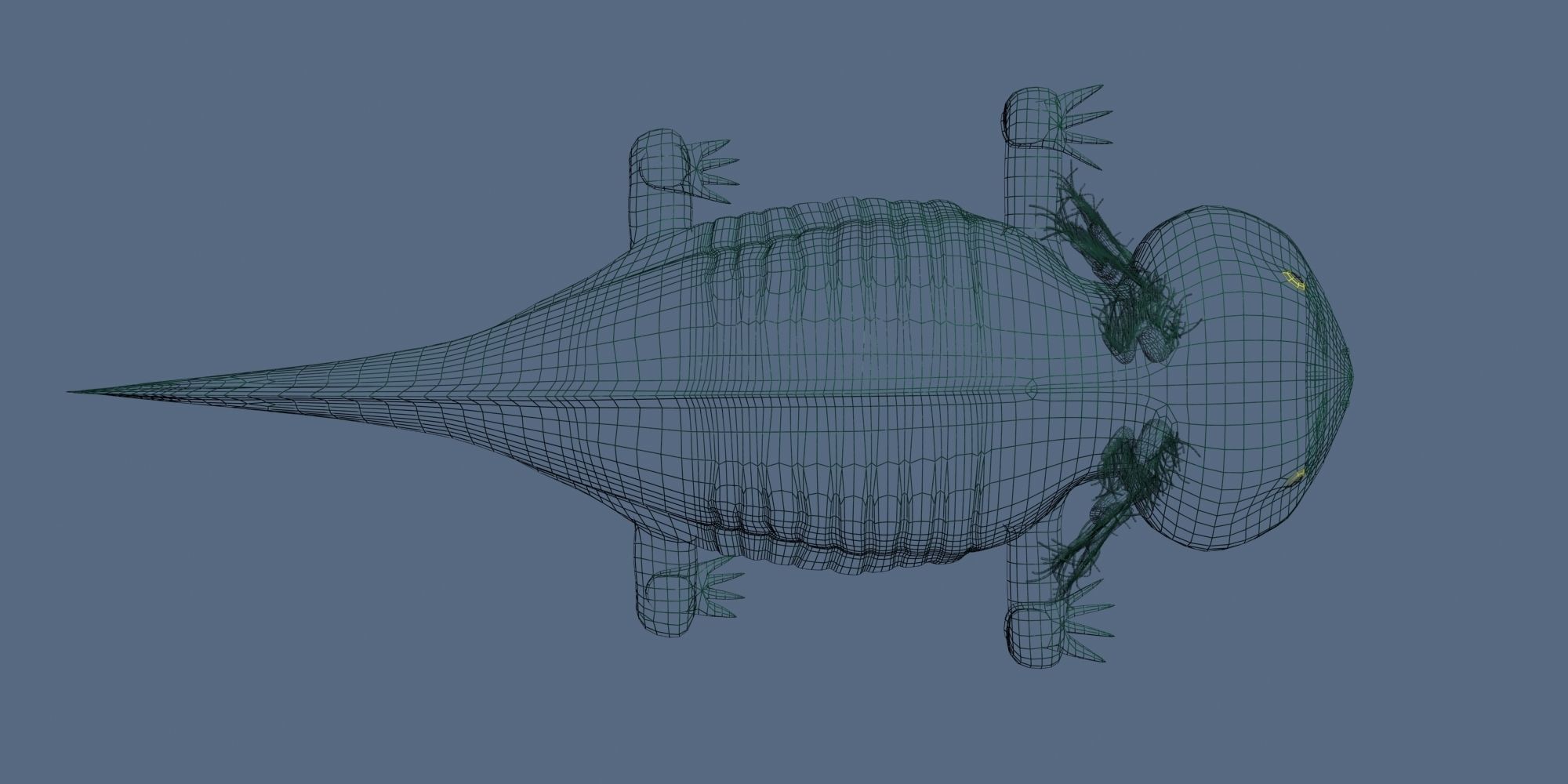 Axolotl 3D model fish Low-poly 3D model_5