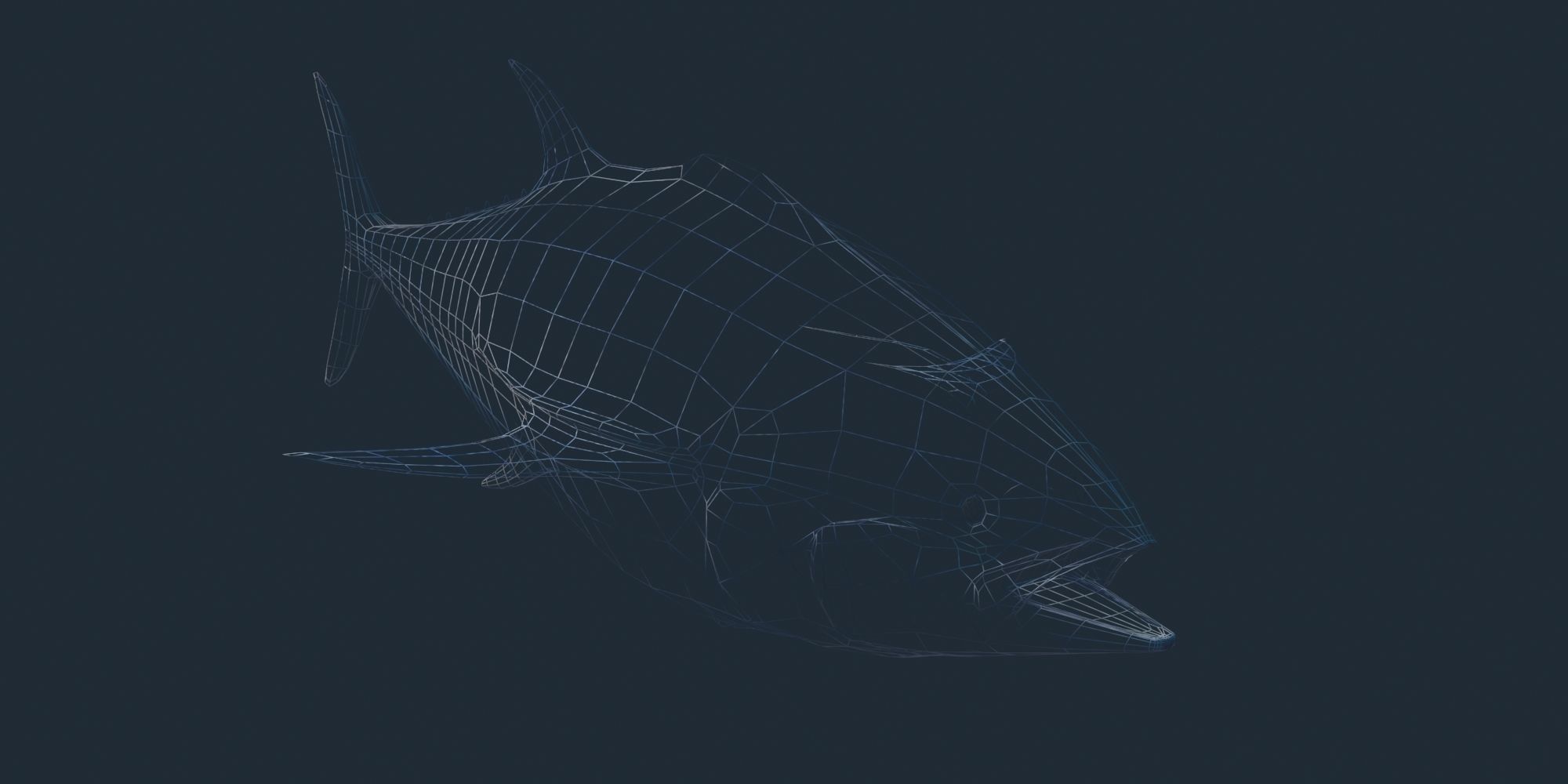 Tuna 3D model bluefin Low-poly 3D model_6