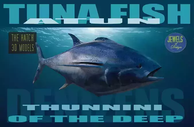 Tuna 3D model bluefin