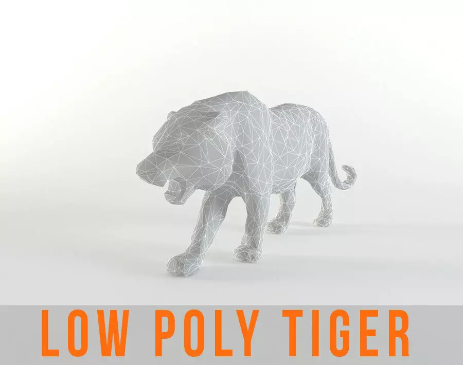Tiger Low poly Mammal Wild Africa Lion Lowpoly Low-poly 3D model_0
