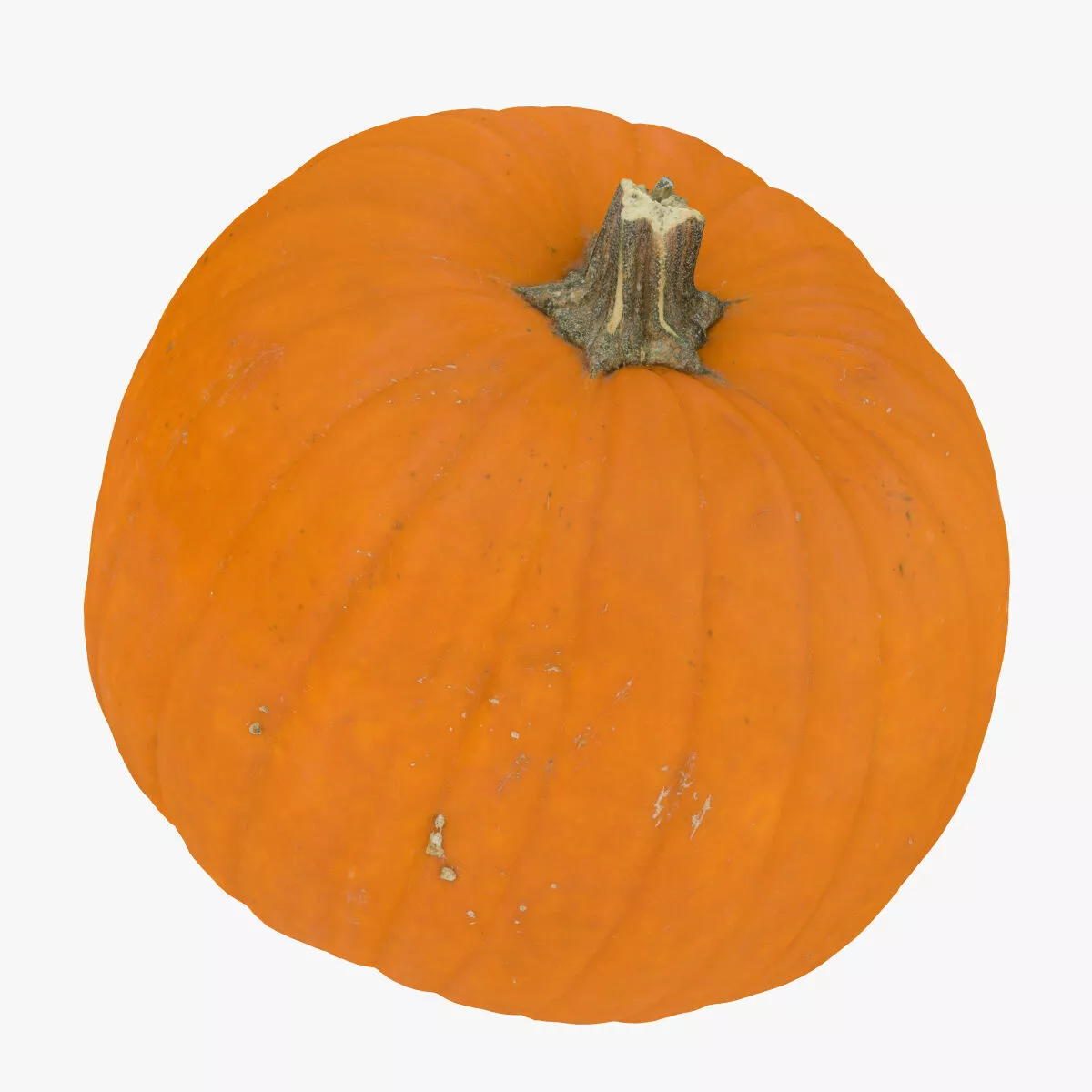 Jack o Lantern Pumpkin 03 RAW SCAN 3D model