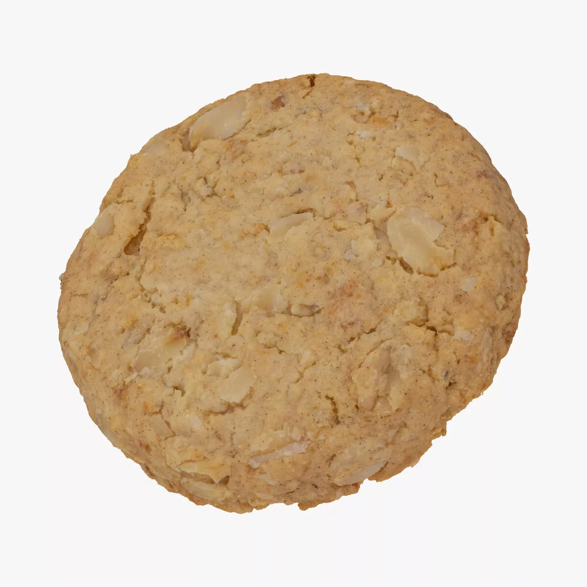 Oat Flakes Round Cracker 01 RAW SCAN 3D model