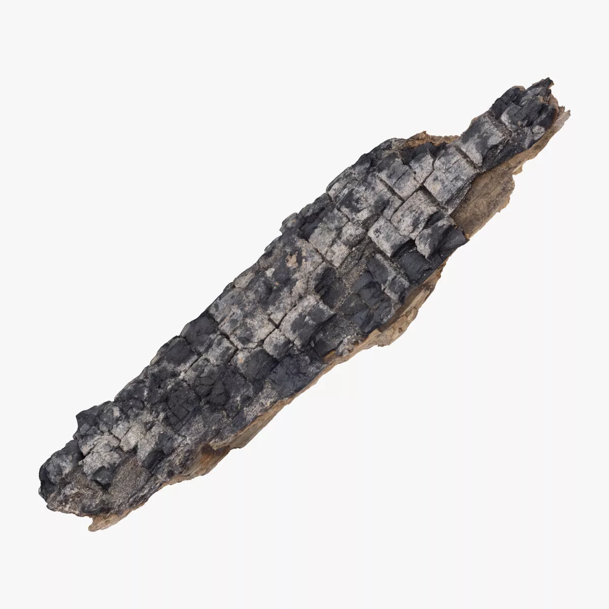 Burned Wood Piece 02 RAW SCAN 3D model