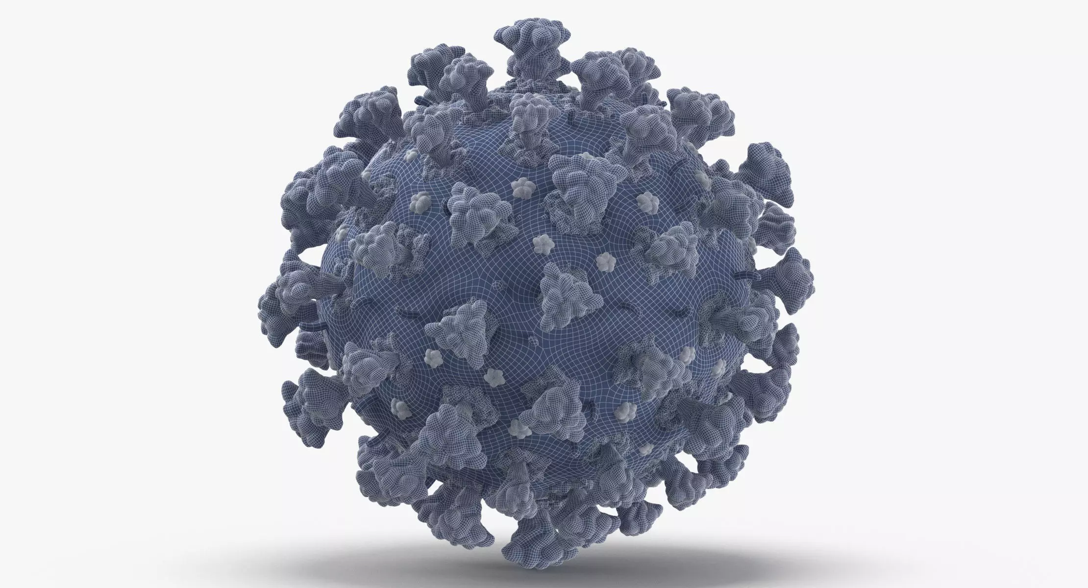 Coronavirus 3D model