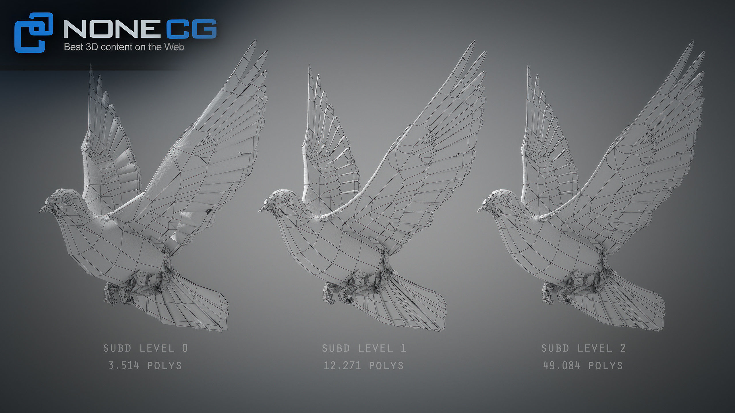 White Dove Animated 3D model_22