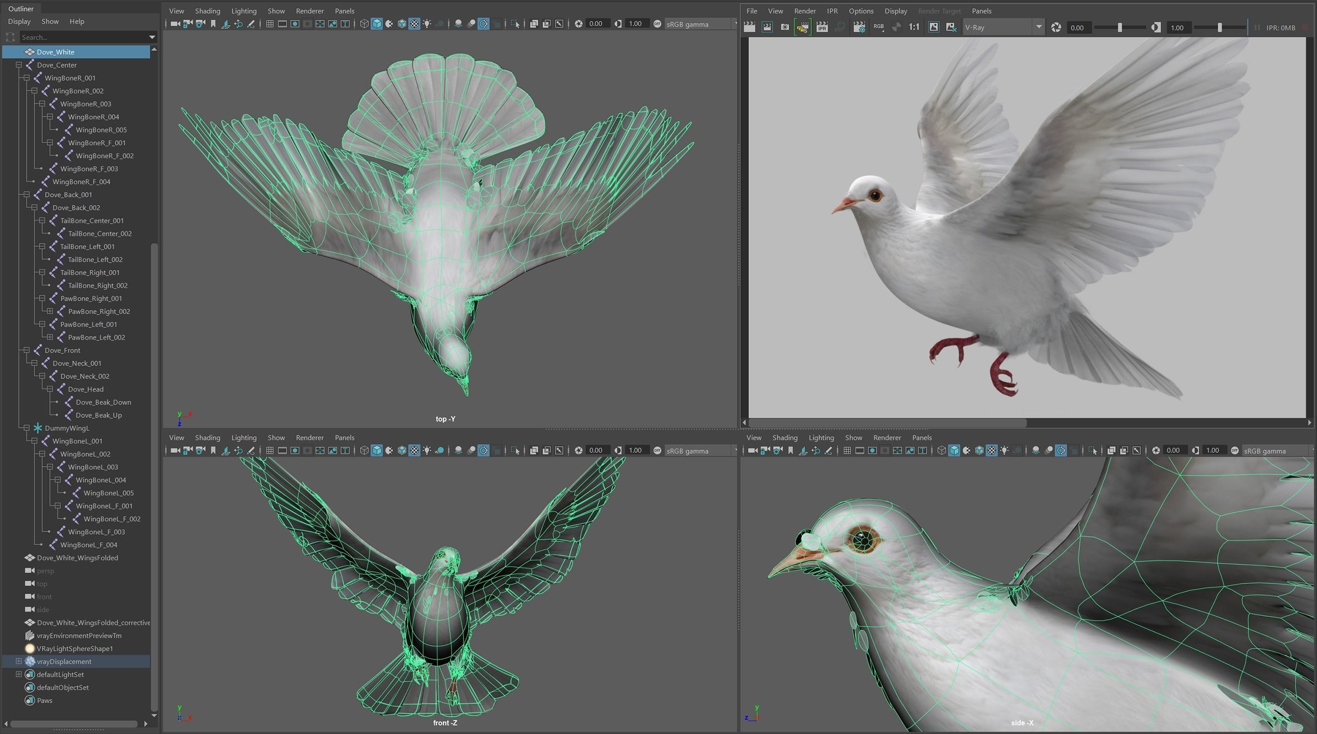 White Dove Animated 3D model_8