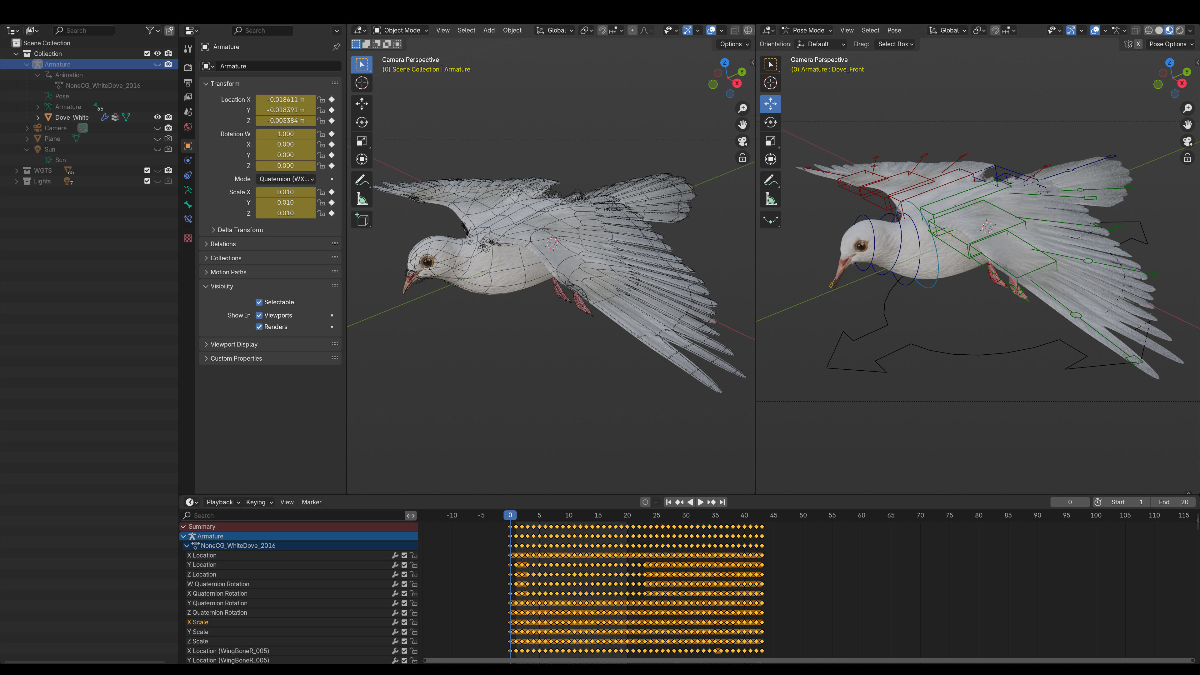 White Dove Animated 3D model_6