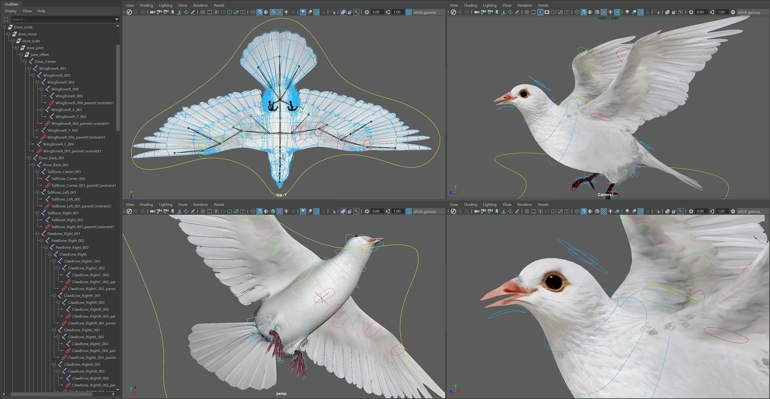 White Dove Animated 3D model_7