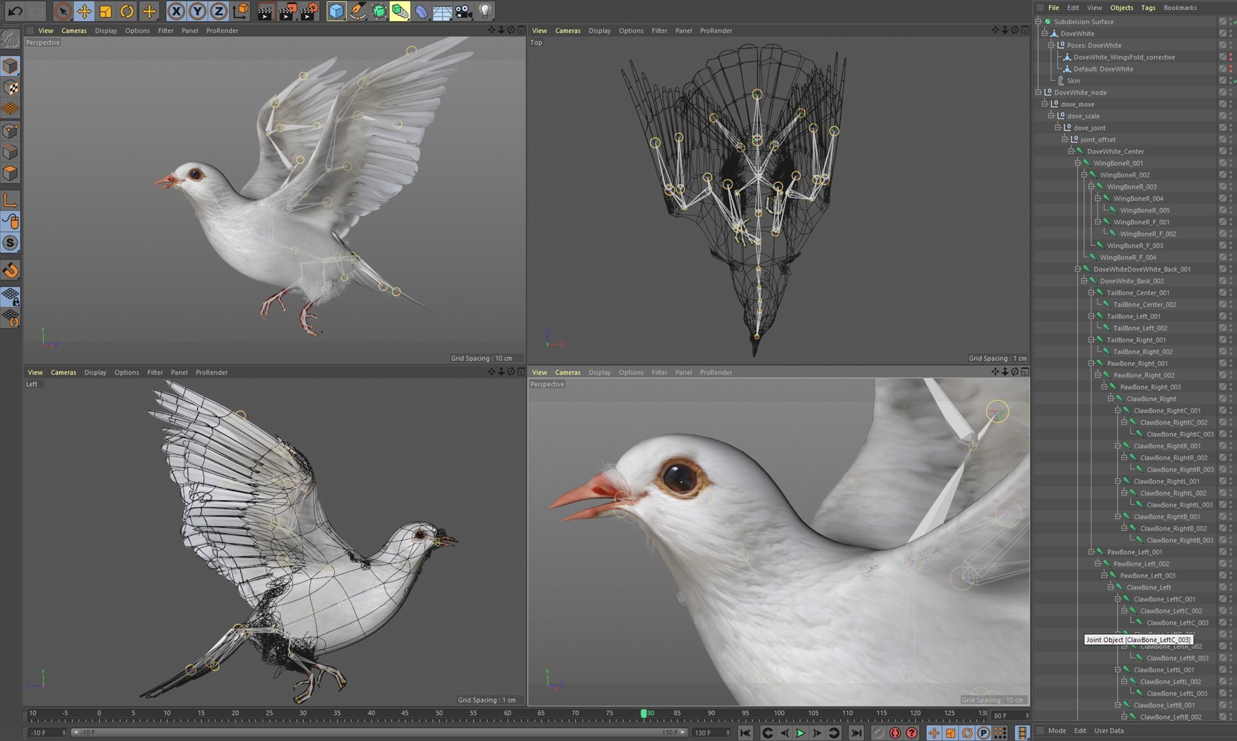 White Dove Animated 3D model_9