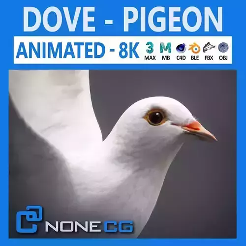 White Dove Animated