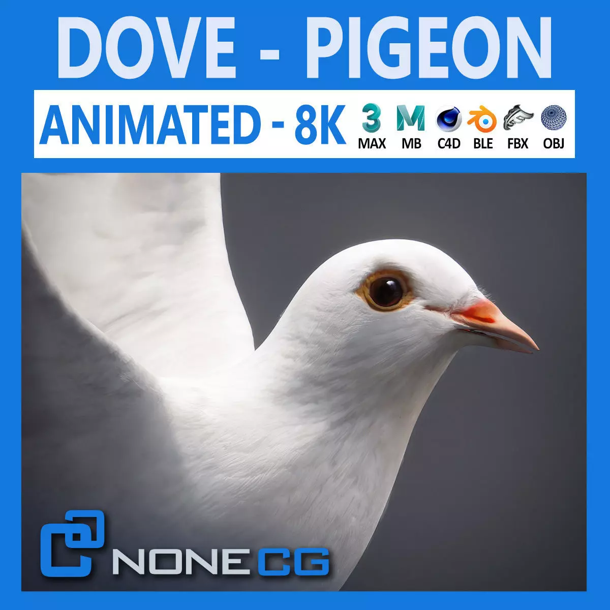 White Dove Animated 3D model_0