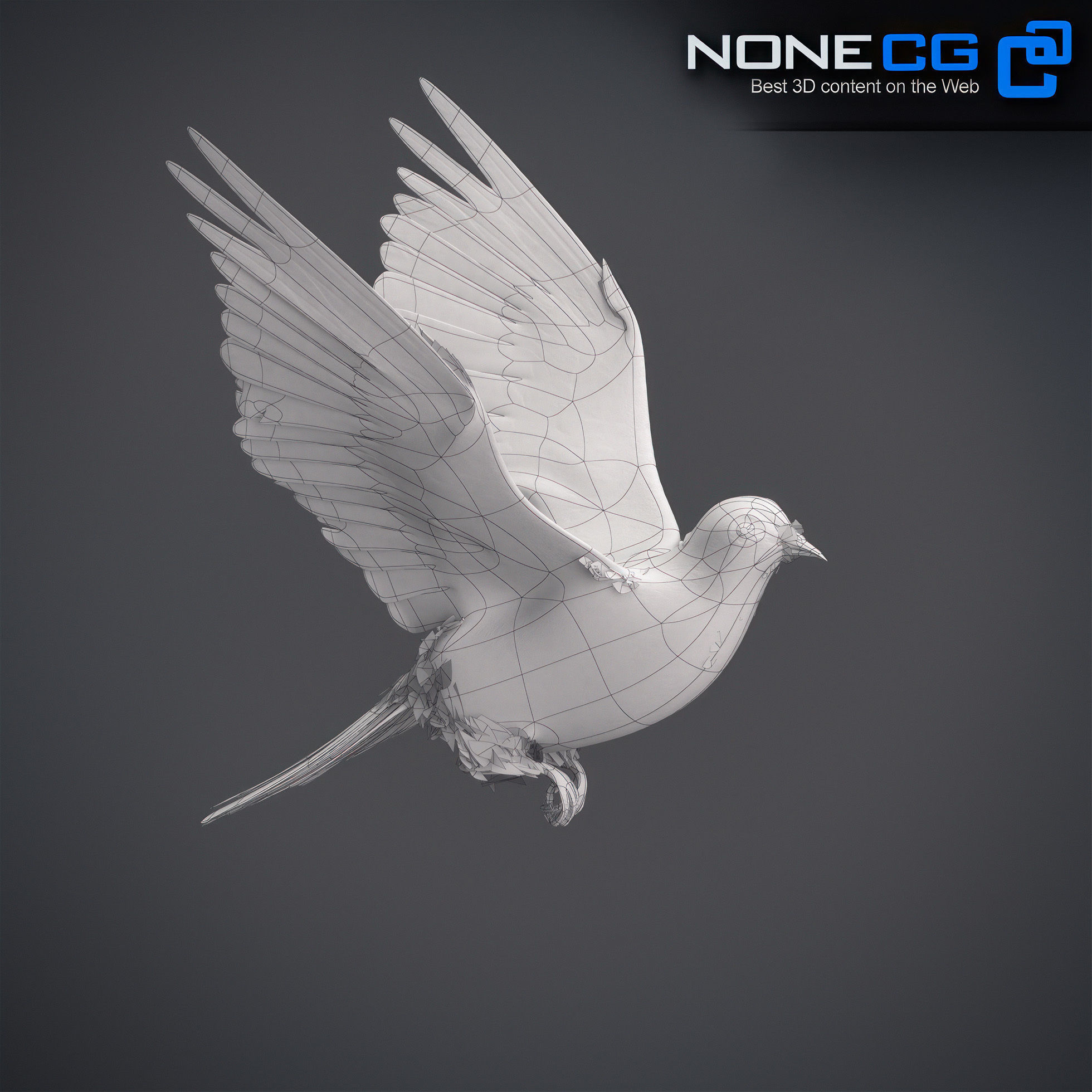 White Dove Animated 3D model_21