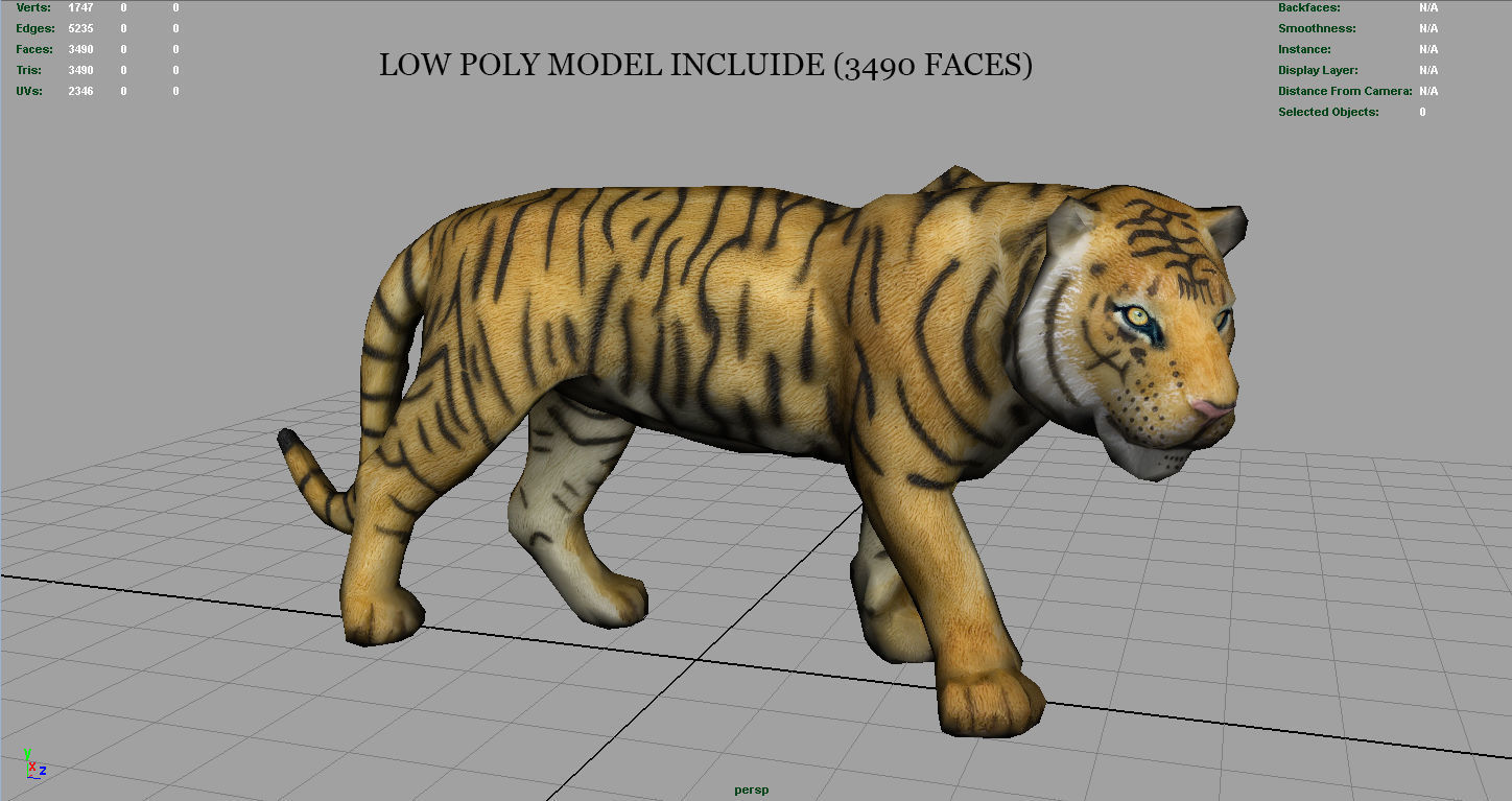 Tiger Low-poly 3D model_9