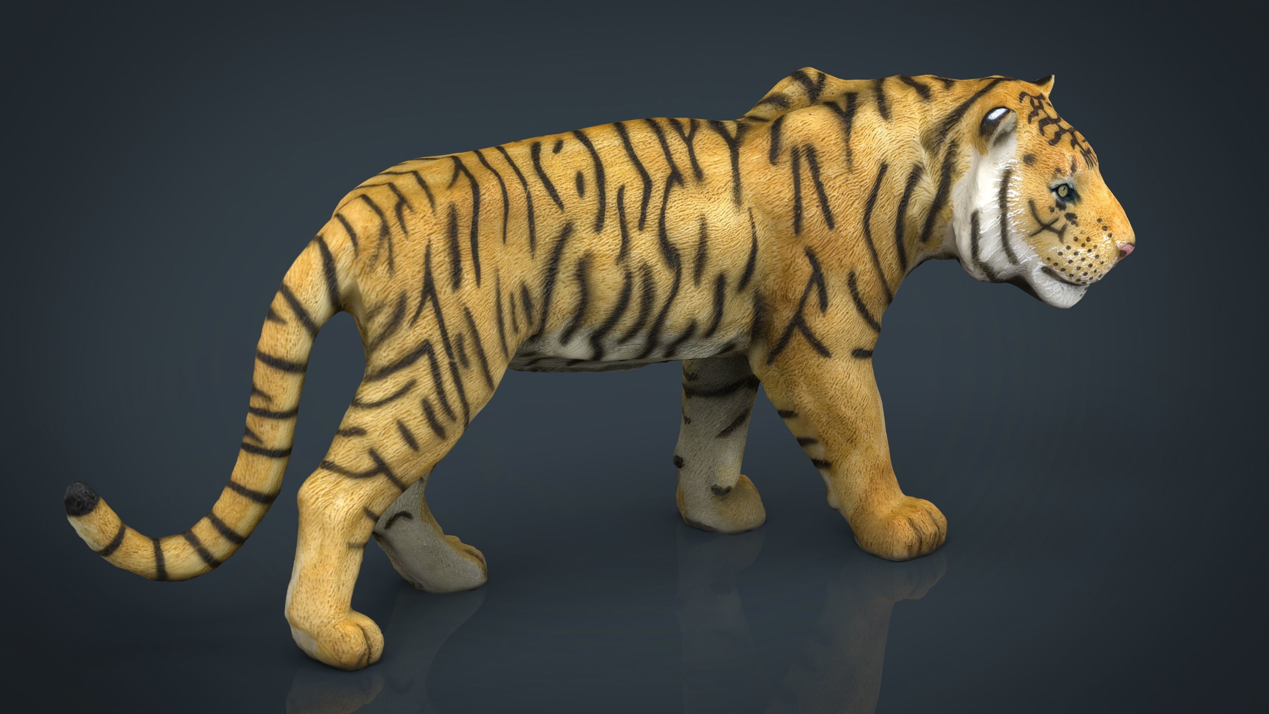 Tiger Low-poly 3D model_12