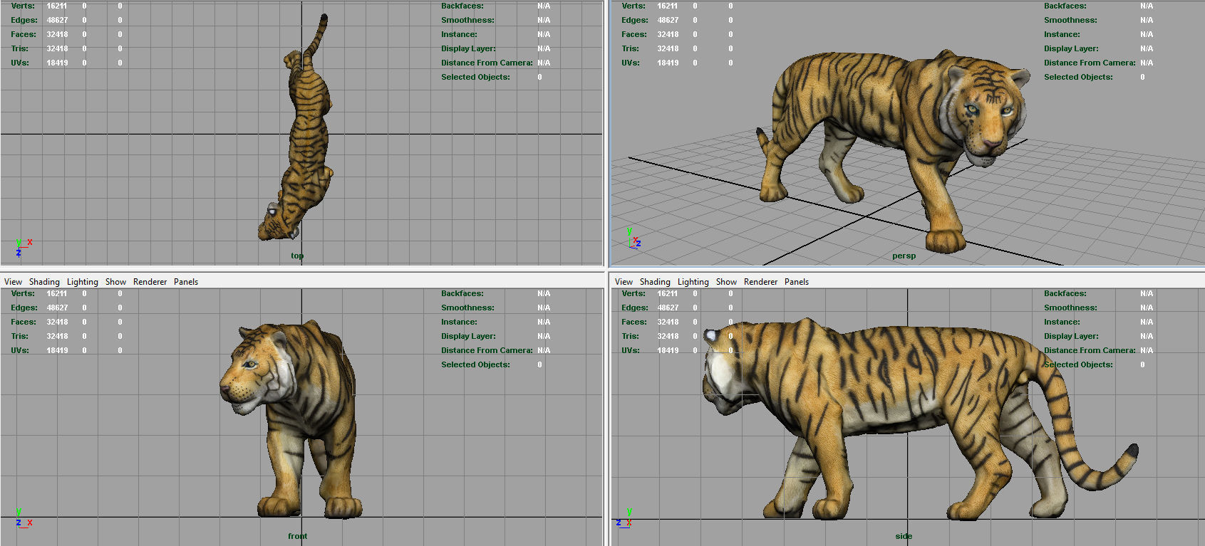 Tiger Low-poly 3D model_7