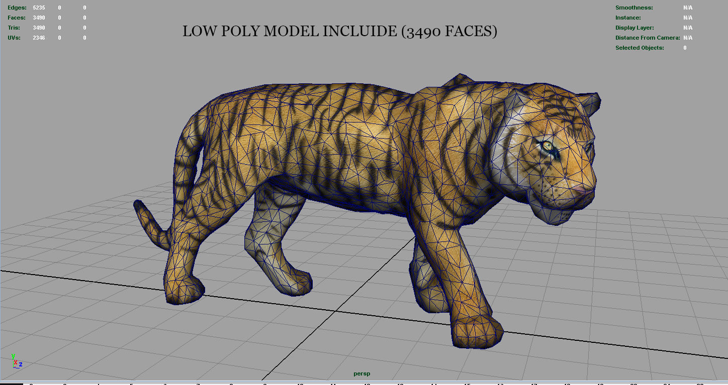 Tiger Low-poly 3D model_10