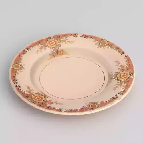 Antique and vintage plate v8