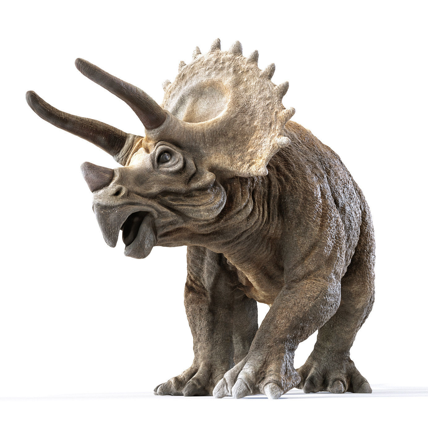 Triceratops dinosaur Low-poly 3D model_4