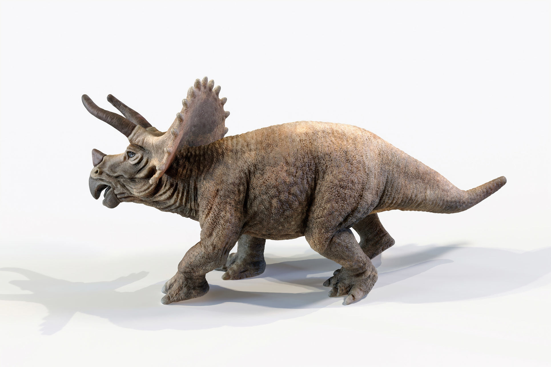 Triceratops dinosaur Low-poly 3D model_21