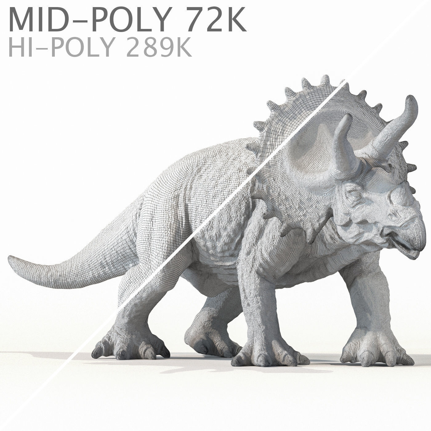 Triceratops dinosaur Low-poly 3D model_8