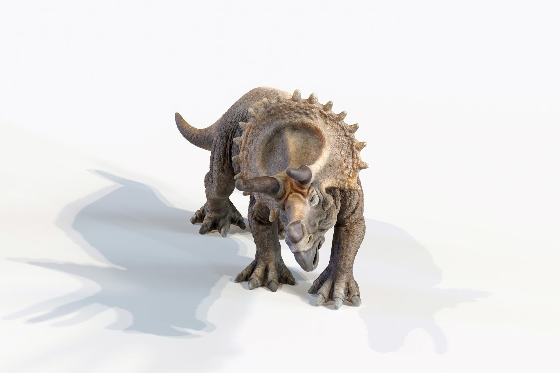 Triceratops dinosaur Low-poly 3D model_17
