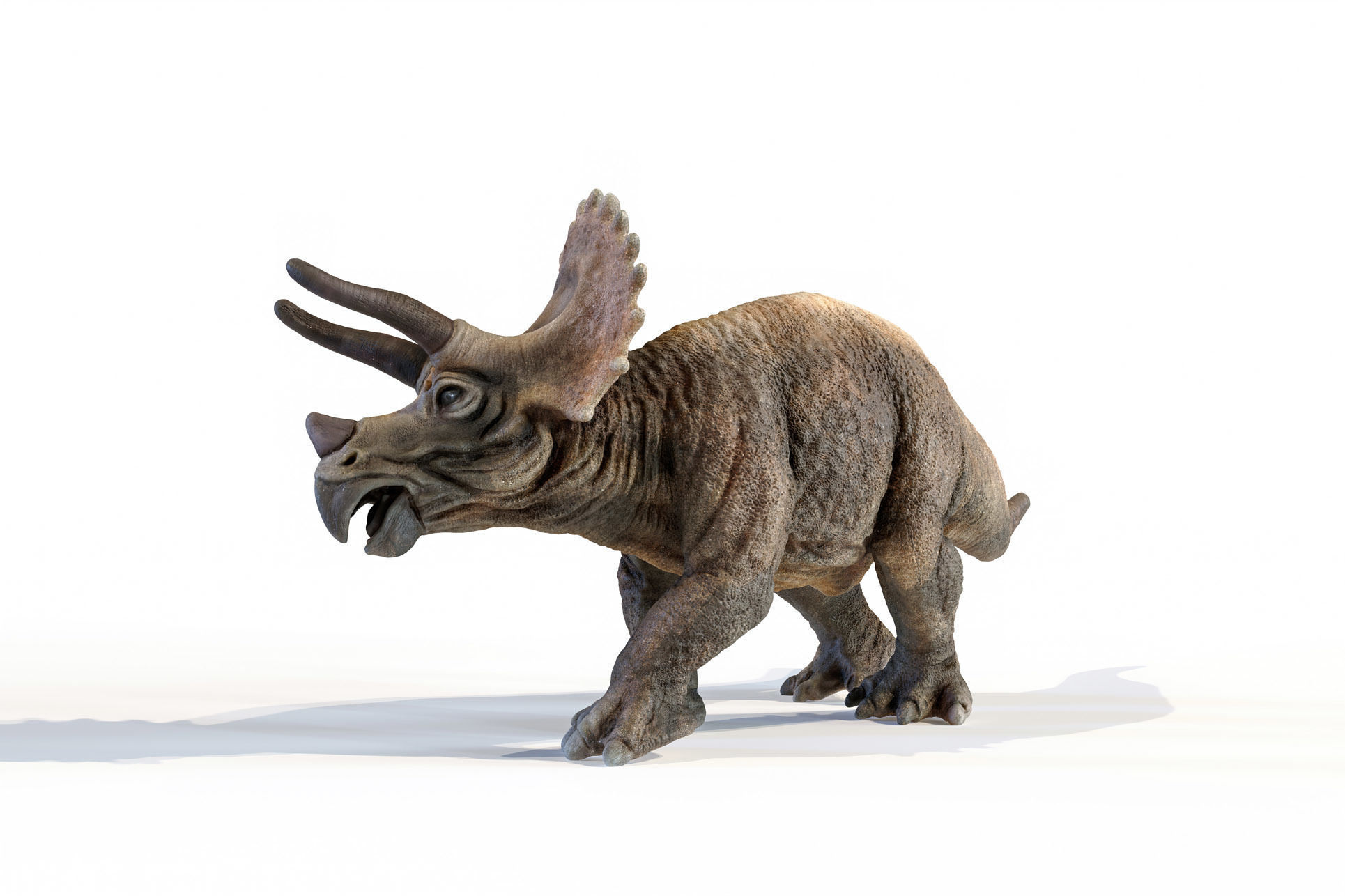 Triceratops dinosaur Low-poly 3D model_30