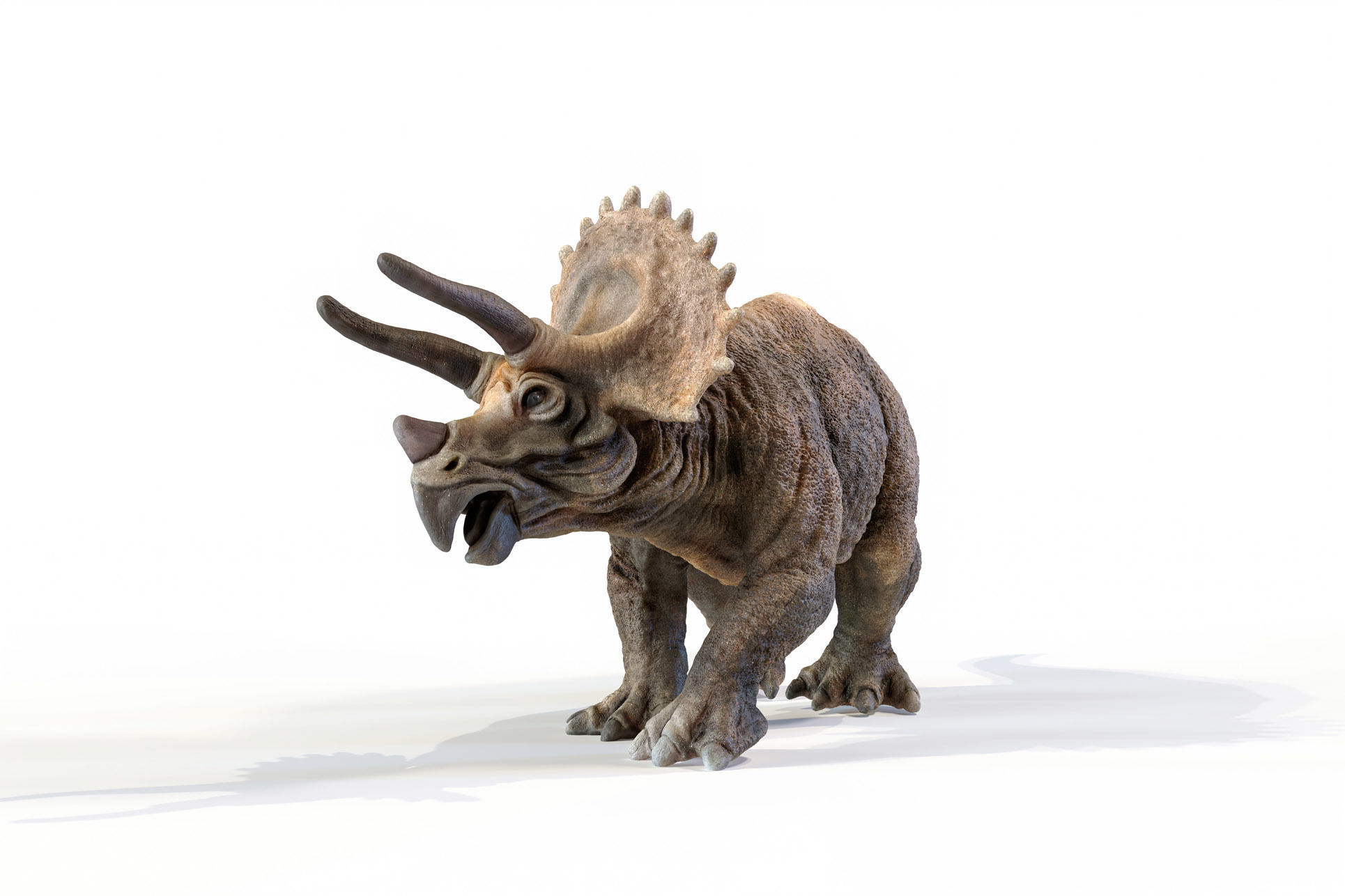 Triceratops dinosaur Low-poly 3D model_19