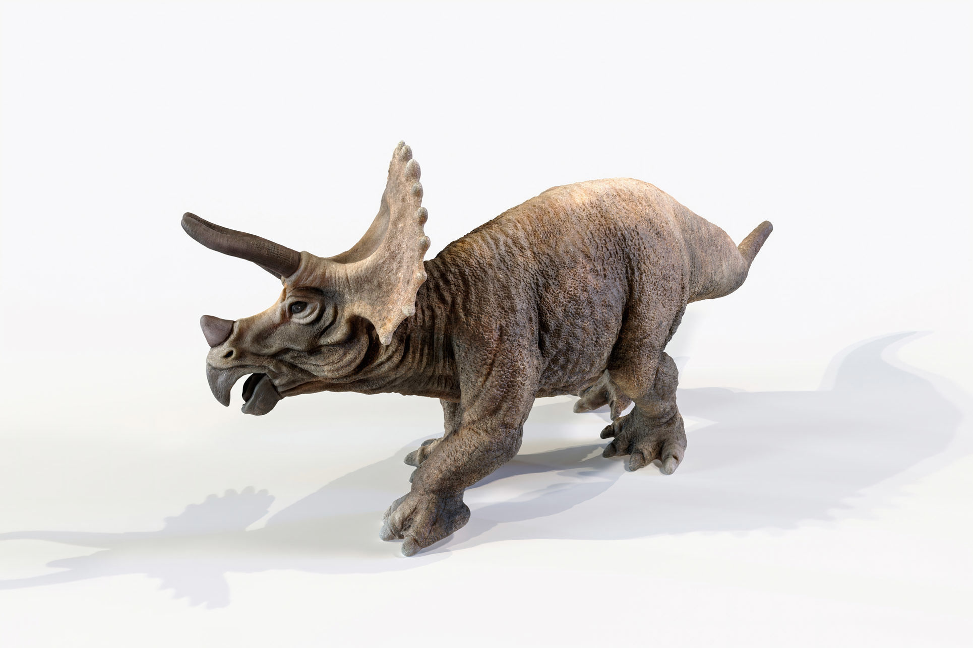 Triceratops dinosaur Low-poly 3D model_24