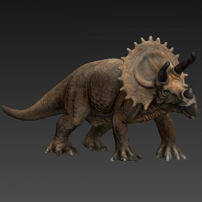 Triceratops dinosaur Low-poly 3D model_6