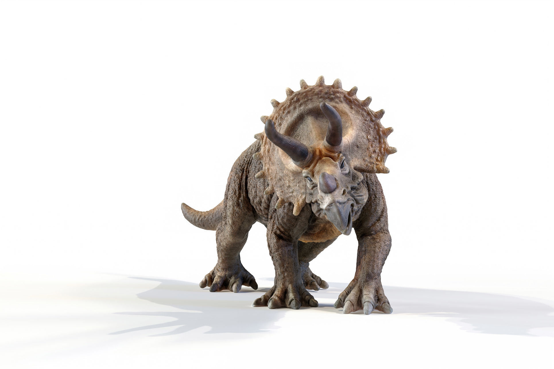 Triceratops dinosaur Low-poly 3D model_20