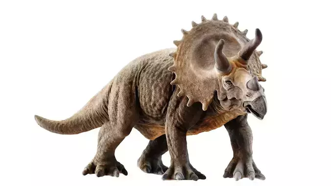 Triceratops dinosaur Low-poly 3D model