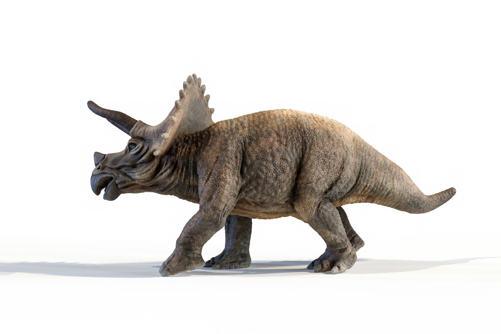 Triceratops dinosaur Low-poly 3D model_29