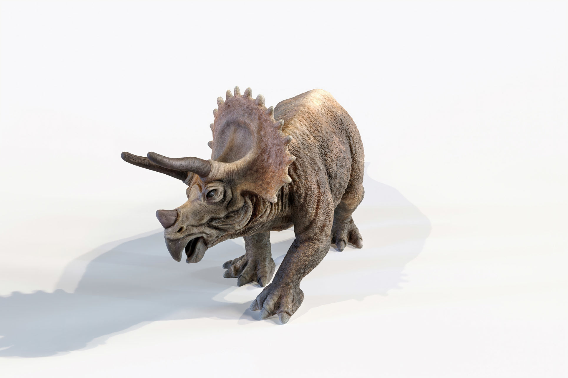 Triceratops dinosaur Low-poly 3D model_14