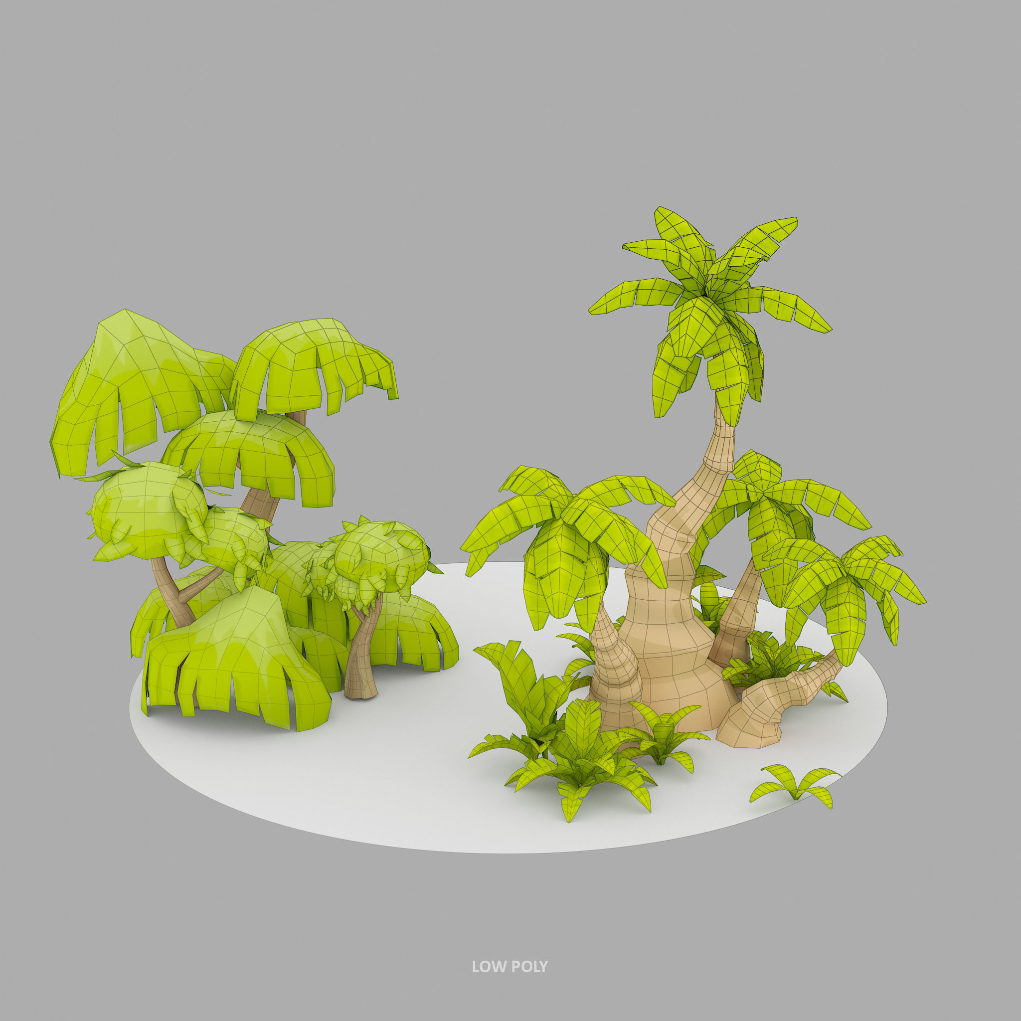 Cartoon Oasis Plants Low-poly 3D model_1