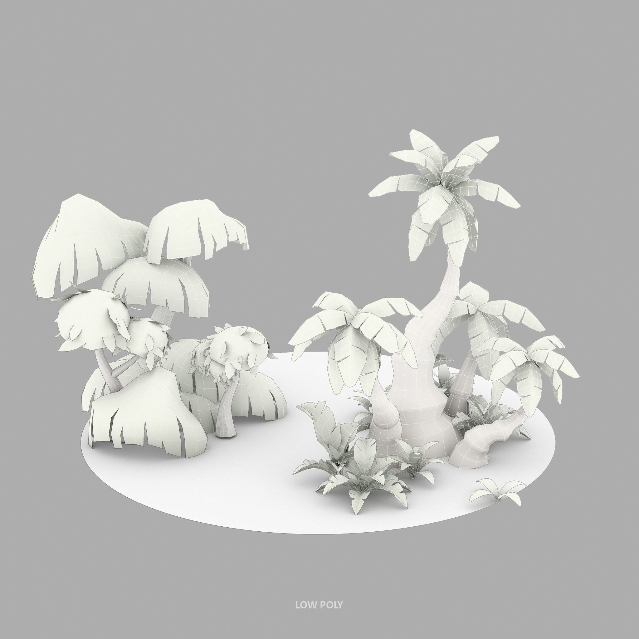 Cartoon Oasis Plants Low-poly 3D model_2